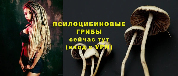 дживик Волоколамск