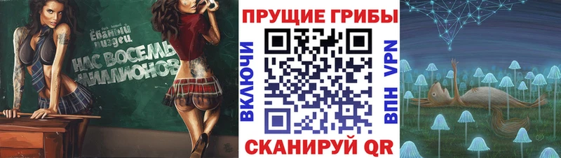 даркнет сайт  Тбилисская  Галлюциногенные грибы MAGIC MUSHROOMS 